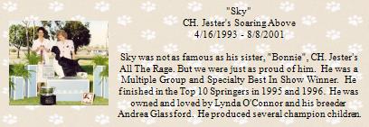 "Sky"
CH. Jester's S...