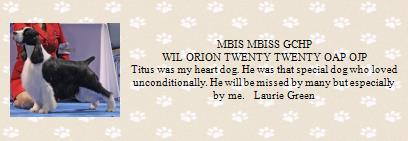 MBIS MBISS GCHP 
WIL...