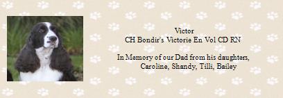  Victor
CH Bondir's ...