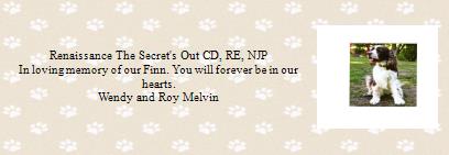 Renaissance The Secr...